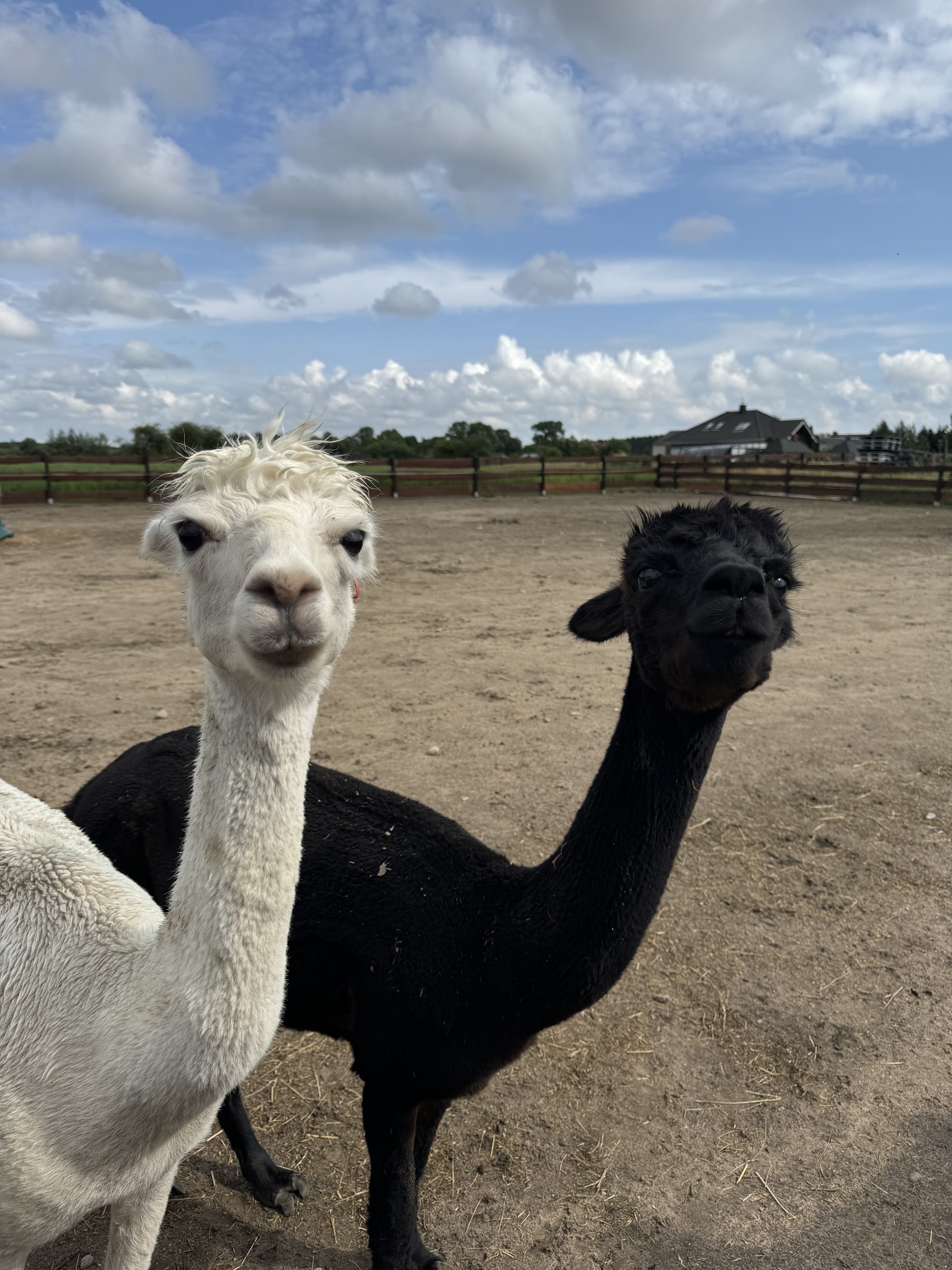 Zagroda Zabłocie - Agroturystyka